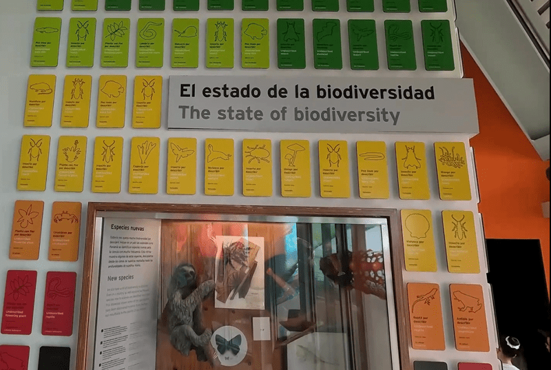 This color coded display, Green (safe) to Black (Extinct),  helps visitors understand the state of our habitat's biodiversity.