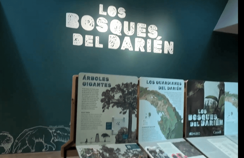 picture inside the room of hte os Bosques, Del Darien in the Biomuseo