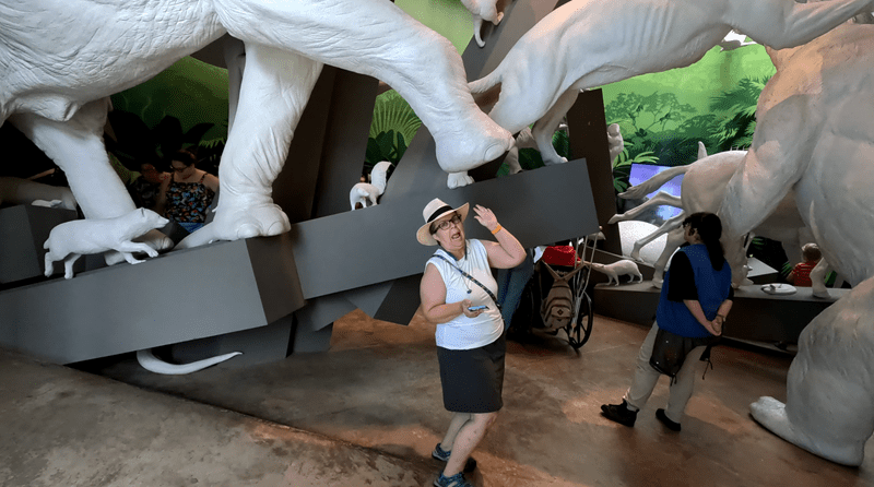 picture we took of the life-size displays of a wide variety of animals in this exhibit at the Biomuseo