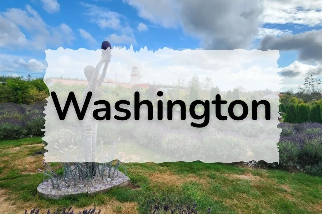 Washington