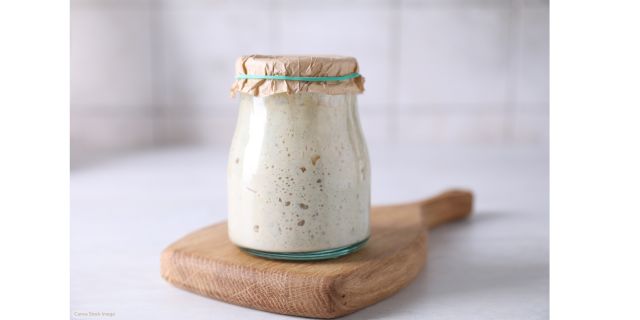 mini sourdough starter from scratch